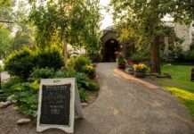 4 эко-френдли бизнеса в Калгари