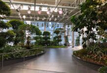 Девонські сади: оаза в центрі Калгарі