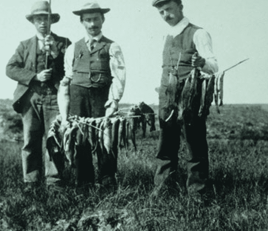 Приголомшуюча історія рибальства Альберти