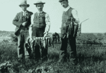 The Shocking History of Fishing in Alberta