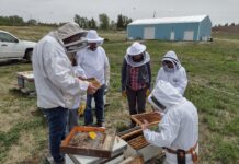 The History of the Calgary Beekeepers Club