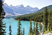 Outdoor recreation in Alberta: provincial resorts