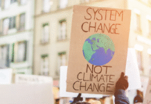 Calgary’s Eco-Trends: What Conscious City Residents Are Choosing