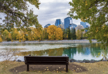 Calgary’s Greening Initiative: Current Status and Future Urban Plans