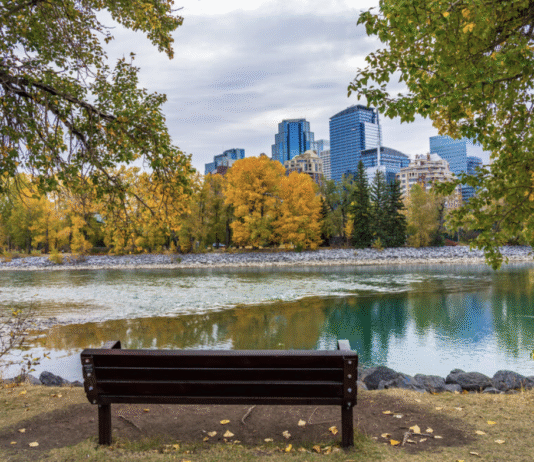 Calgary’s Greening Initiative: Current Status and Future Urban Plans
