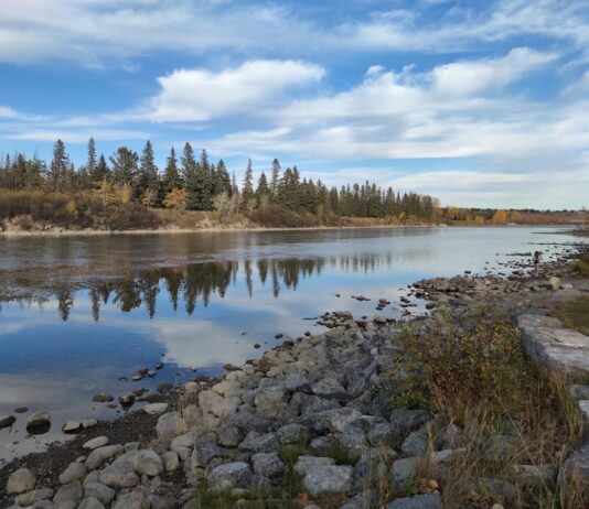 Bowness Park