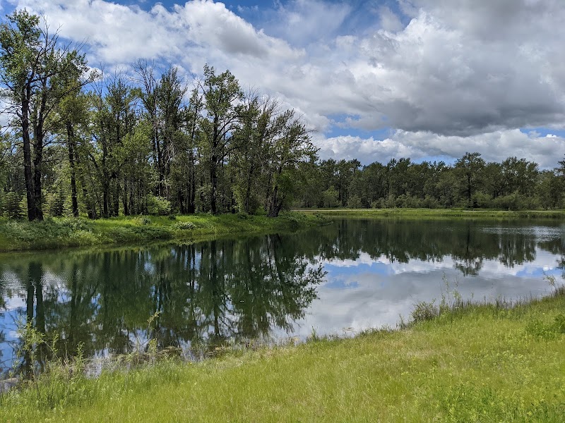 Carburn Park