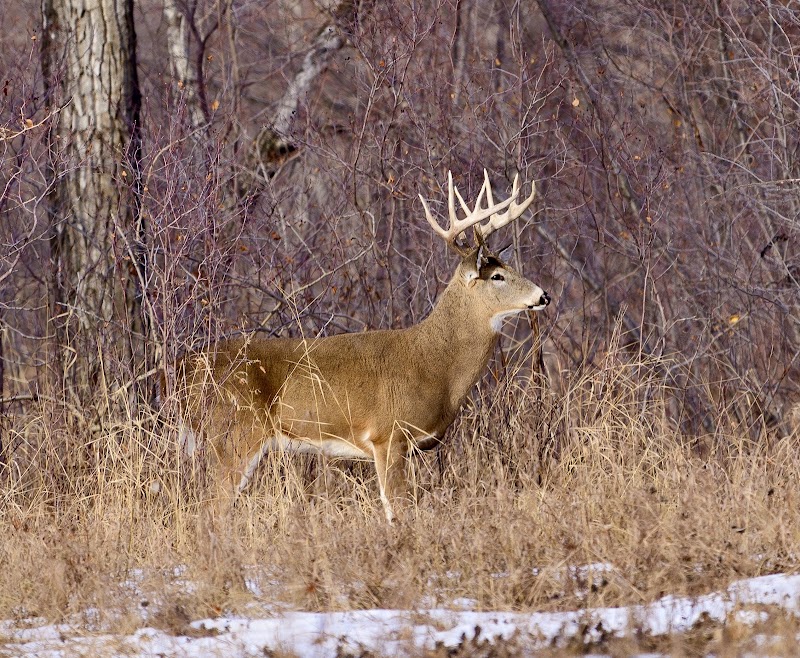 Carburn Park