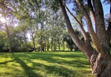 Confederation Park