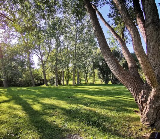 Confederation Park