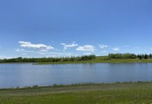 Elliston Park