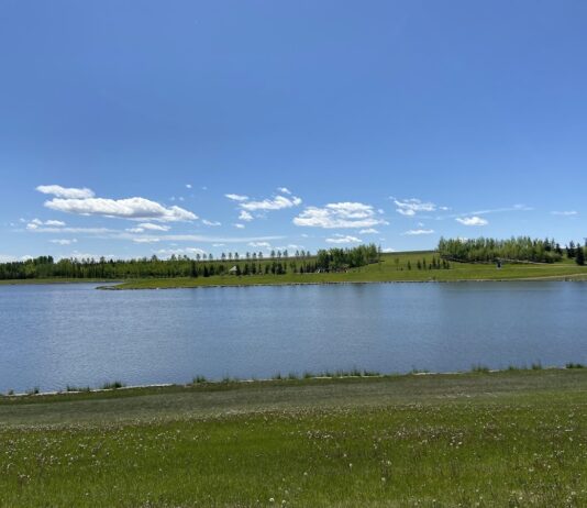Elliston Park
