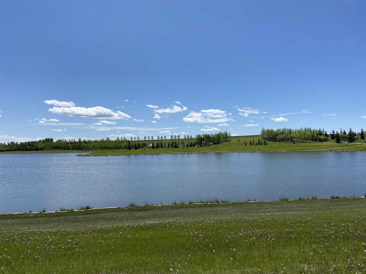 Elliston Park — Park