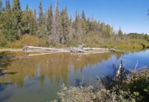 Fish Creek Provincial Park