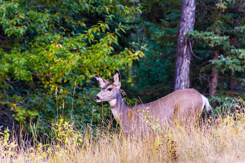Fish Creek Provincial Park
