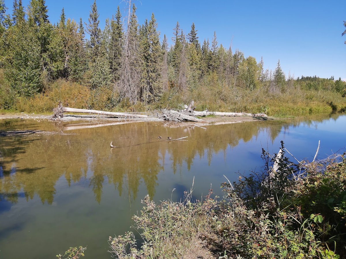 Fish Creek Provincial Park — Park