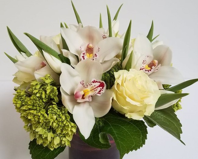 KENSINGTON FLORIST | CALGARY FLOWERS DELIVERY