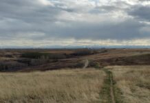 Nose Hill Park