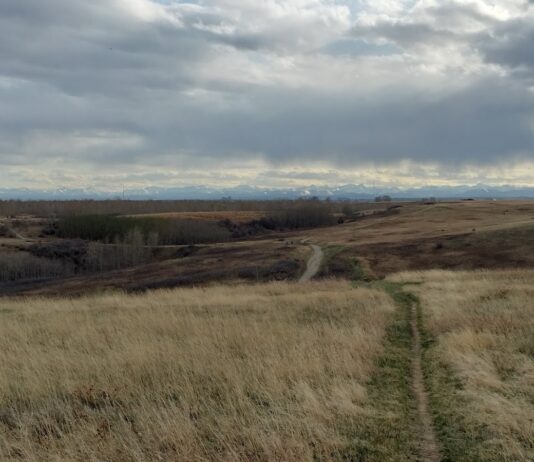 Nose Hill Park