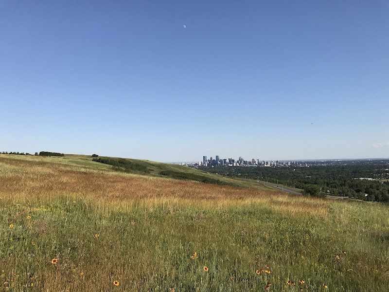 Nose Hill Park