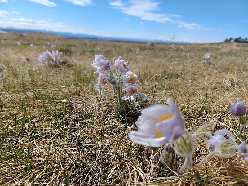 Nose Hill Park