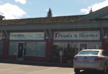 PETALS’ N BLOOMS | CALGARY FLOWERS DELIVERY