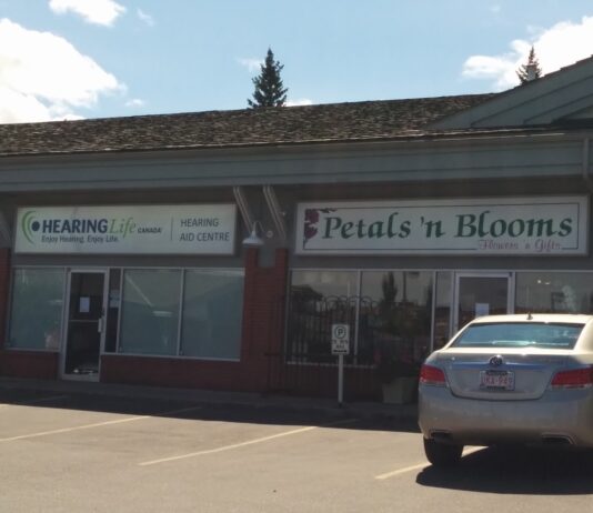 PETALS’ N BLOOMS | CALGARY FLOWERS DELIVERY