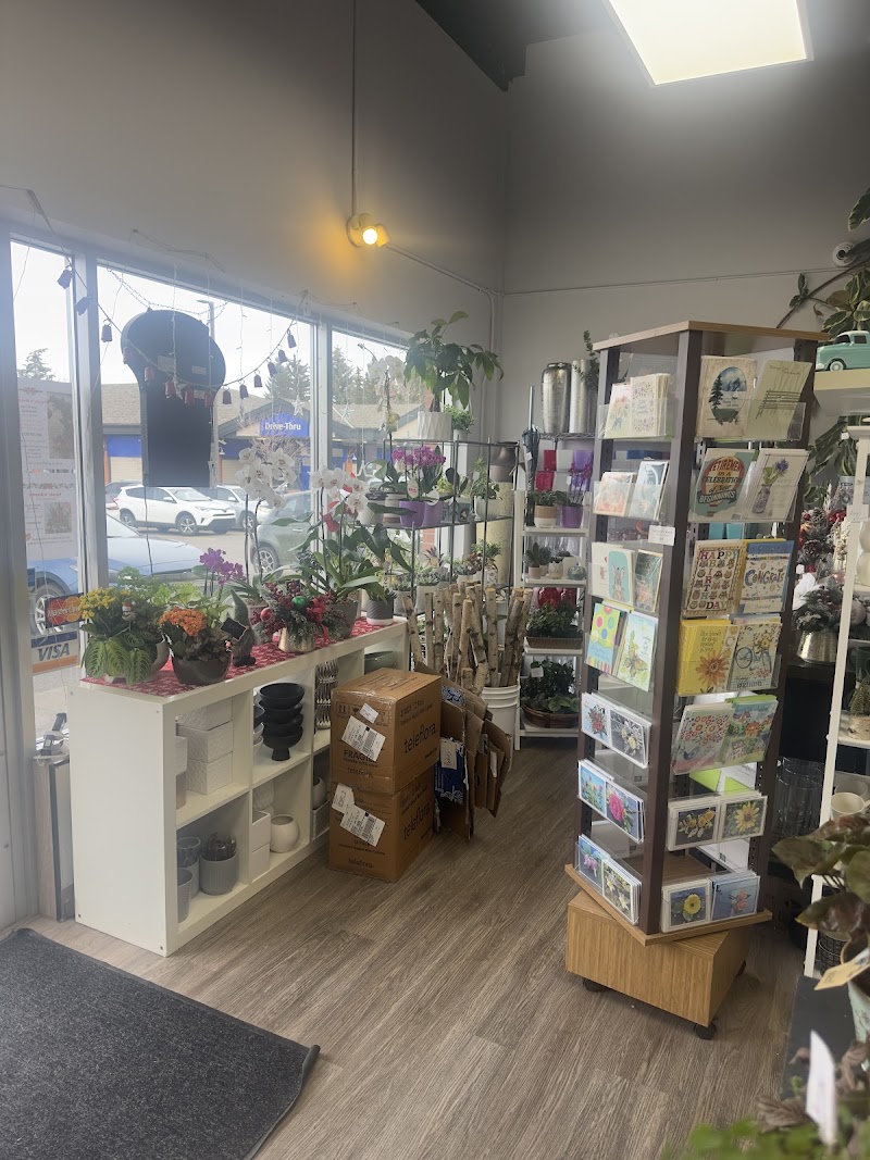 PETALS' N BLOOMS | CALGARY FLOWERS DELIVERY