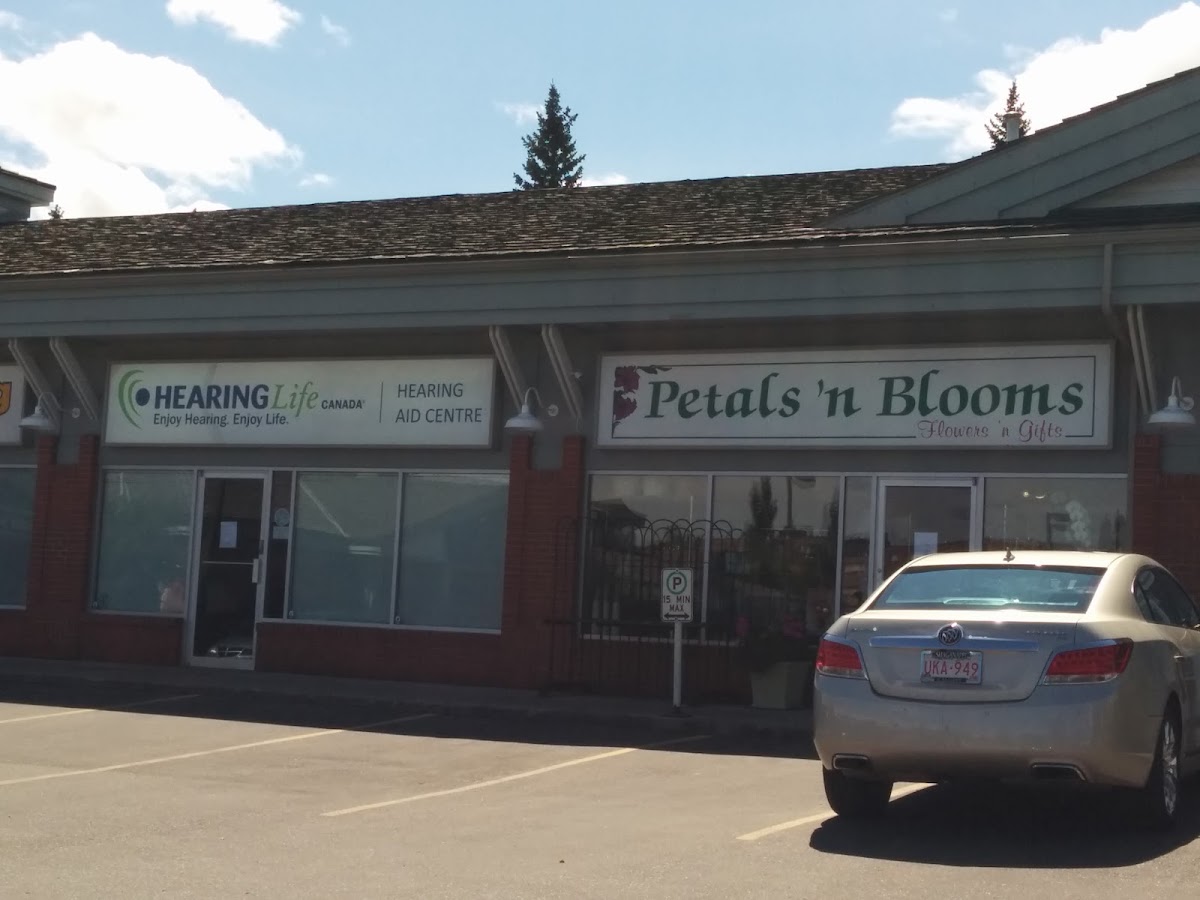 PETALS' N BLOOMS | CALGARY FLOWERS DELIVERY — Florist