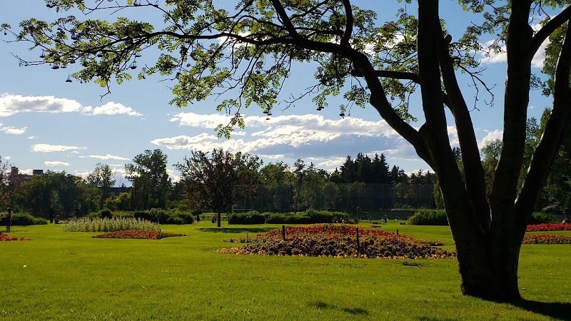 Riley Park