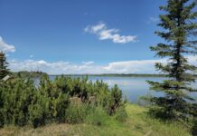 South Glenmore Park