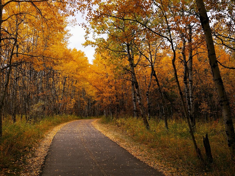 South Glenmore Park